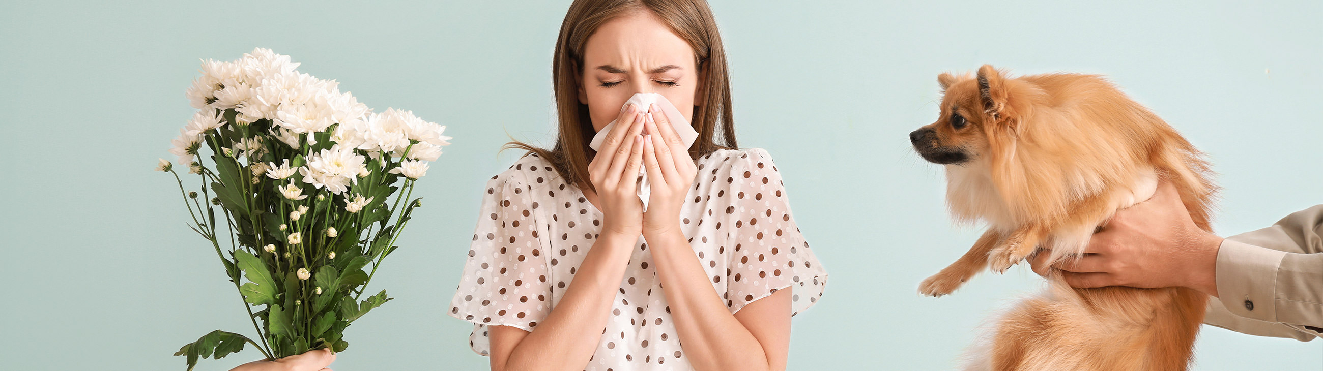 ¿El eczema es una alergia?
