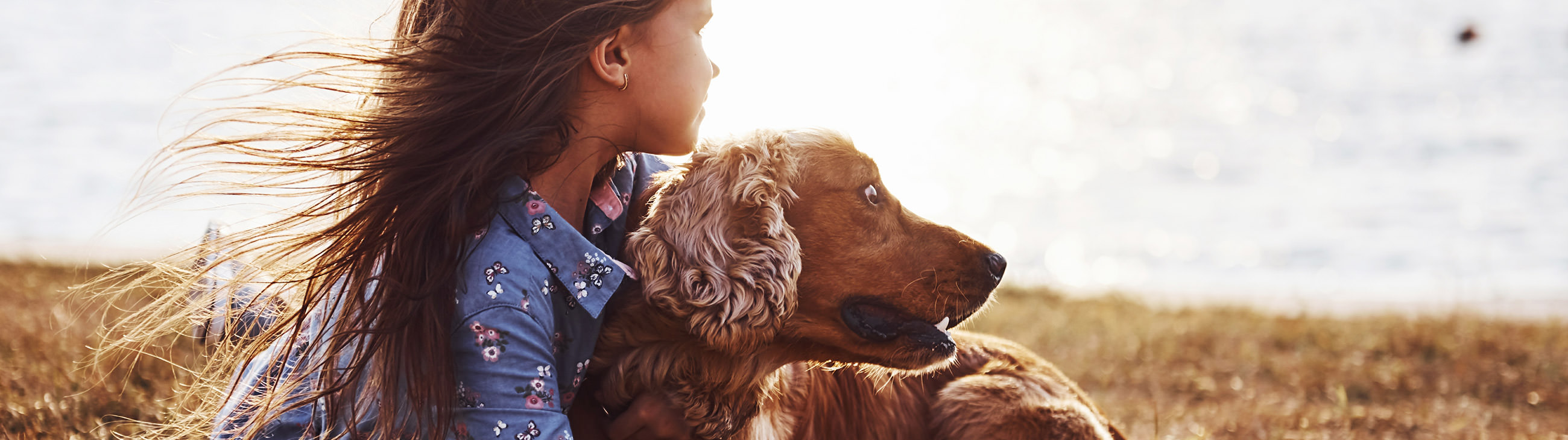 É possível ter um cão ou um gato se tem eczema atópico?