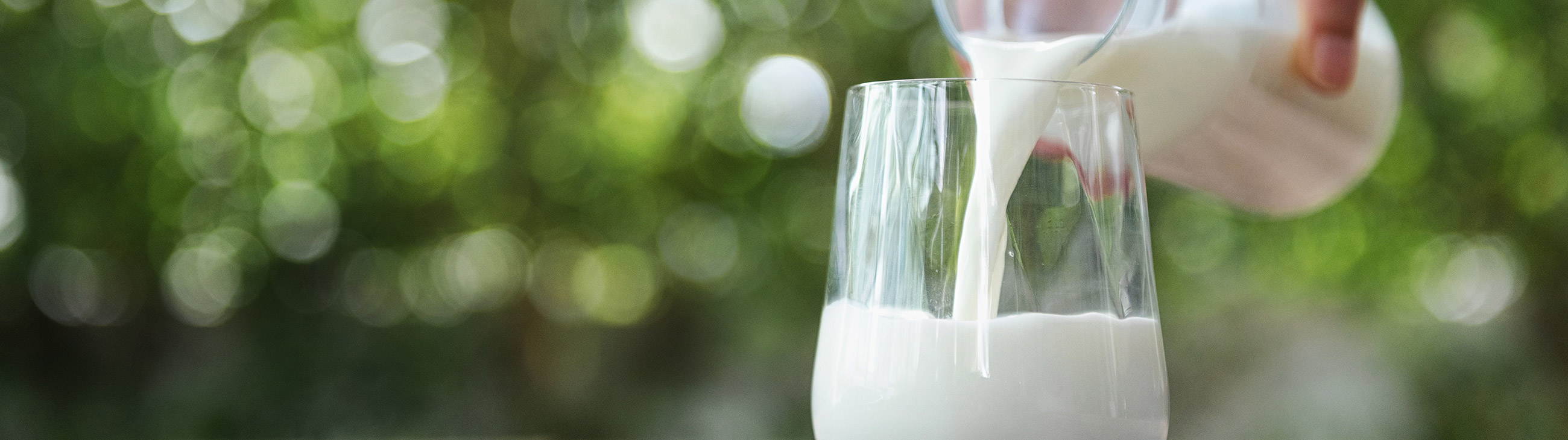 Eczema y la leche de vaca