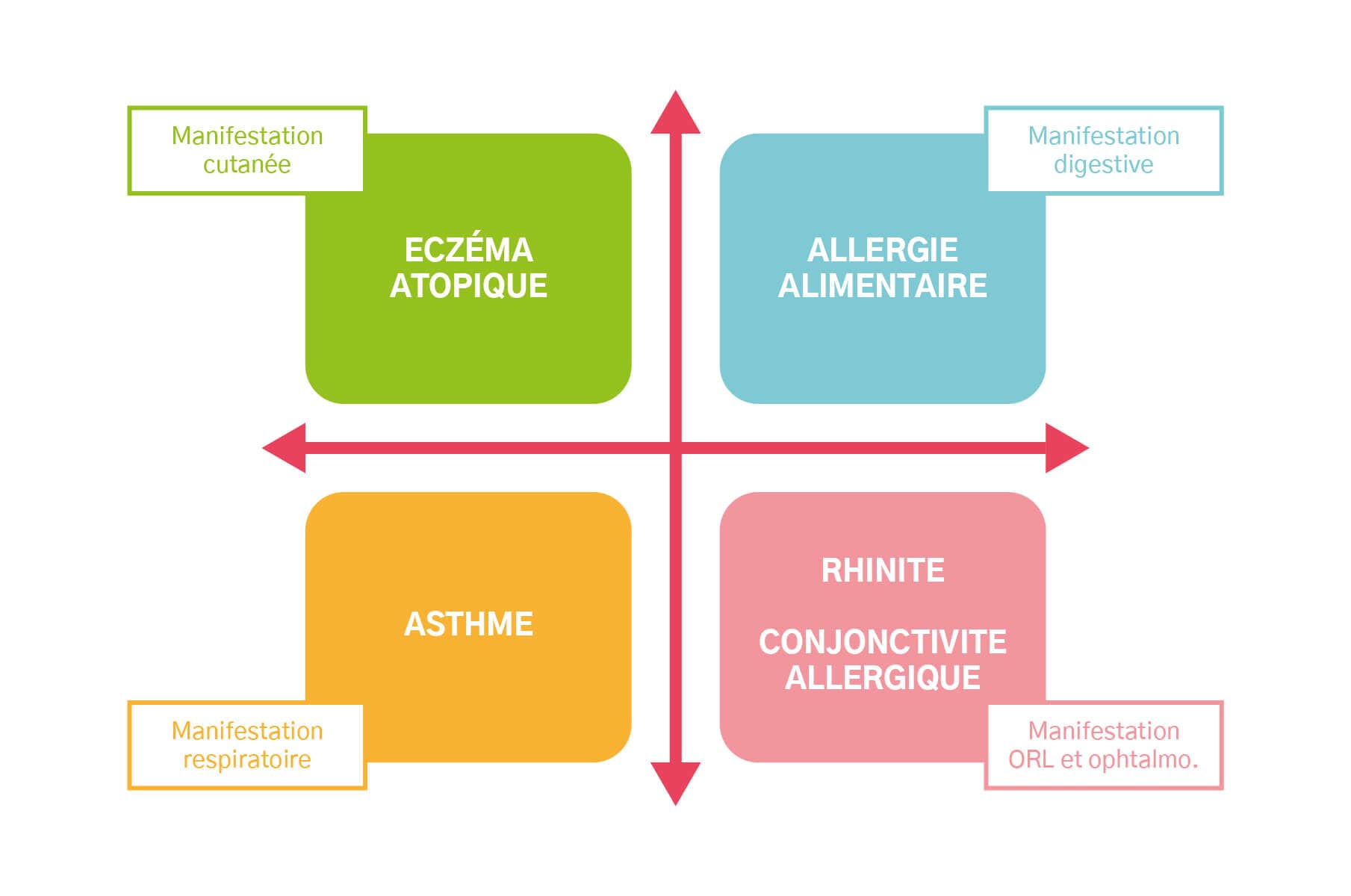 Les différentes manifestations de l'atopie : eczéma atopique/asthme/allergie alimentaire/rhinite - conjonctivite allergique