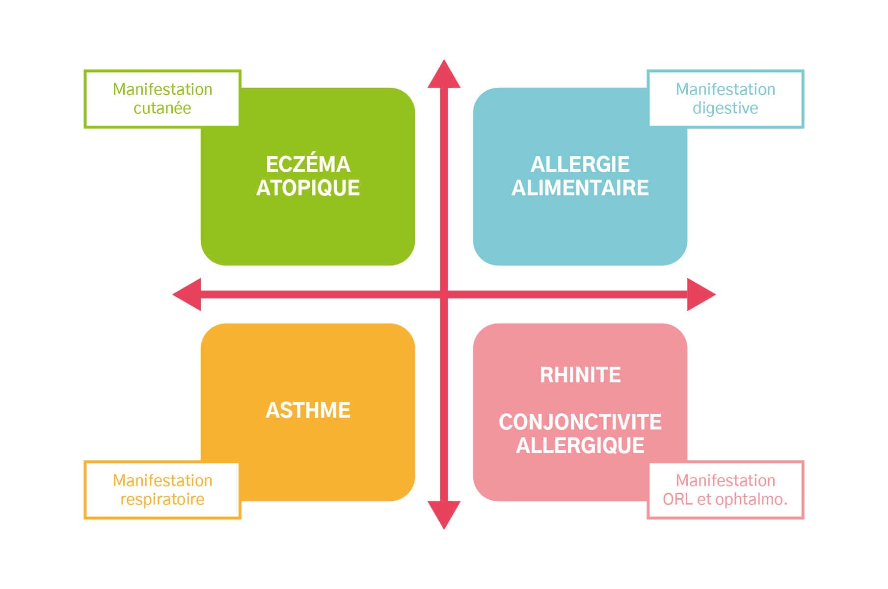 Les différentes manifestations de l'atopie : eczéma atopique/asthme/allergie alimentaire/rhinite - conjonctivite allergique