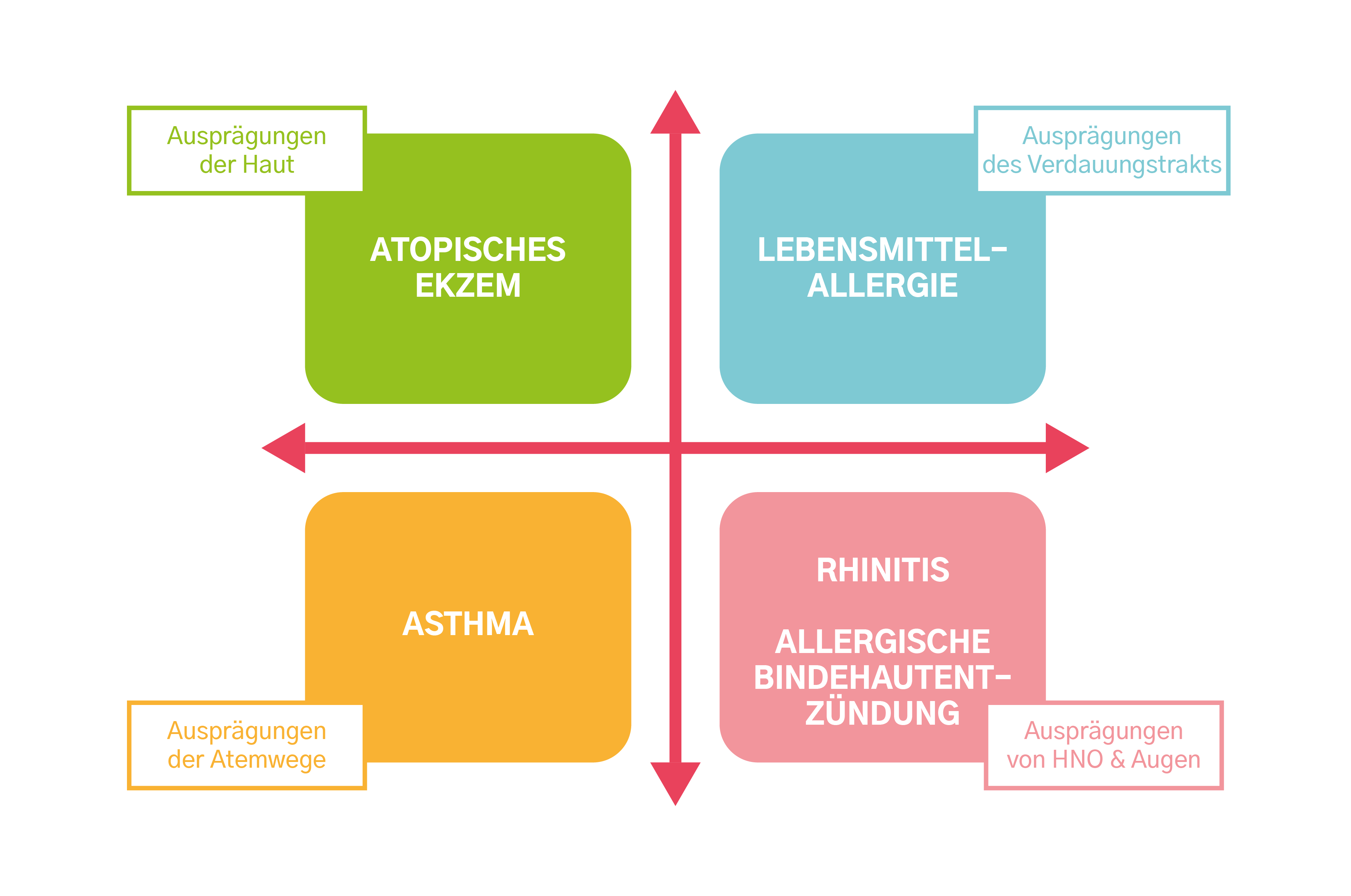 Die verschiedenen Erscheinungsformen der Atopie: atopisches Ekzem/Asthma/Nahrungsmittelallergie/Rhinitis - allergische Konjunktivitis