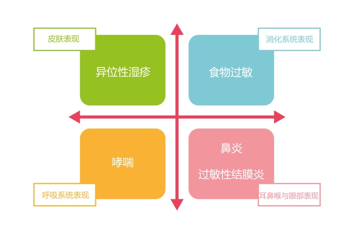 特应性的不同表现形式:特应性湿疹/哮喘/食物过敏/过敏性鼻炎-结膜炎